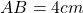 AB = 4 cm