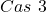 Cas~3