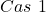 Cas~1