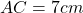 AC = 7 cm