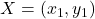 X = \left( x_1, y_1 \right)
