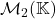 \mathcal{M}_2(\mathbb{K})