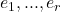 e_1,...,e_r