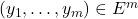 \left( y_1, \dotsc, y_m \right) \in E^m