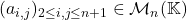 (a_{i,j})_{2 \leq i,j \leq n+1} \in  \mathcal{M}_n(\mathbb{K})