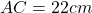 AC = 22 cm