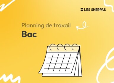 Planning de révisions BAC