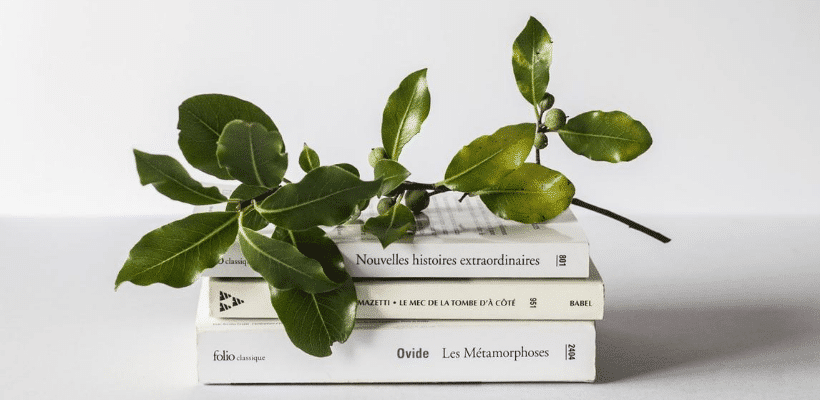 Comment gérer la bibliographie de l’été en hypokhâgne et en khâgne ? 