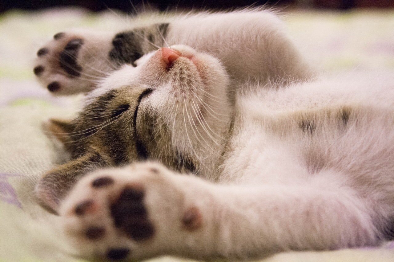 Top 10 des gadgets indispensables pour mieux dormir 