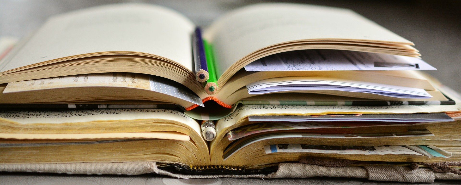 Comment j’ai eu 20 au bac de français ? 