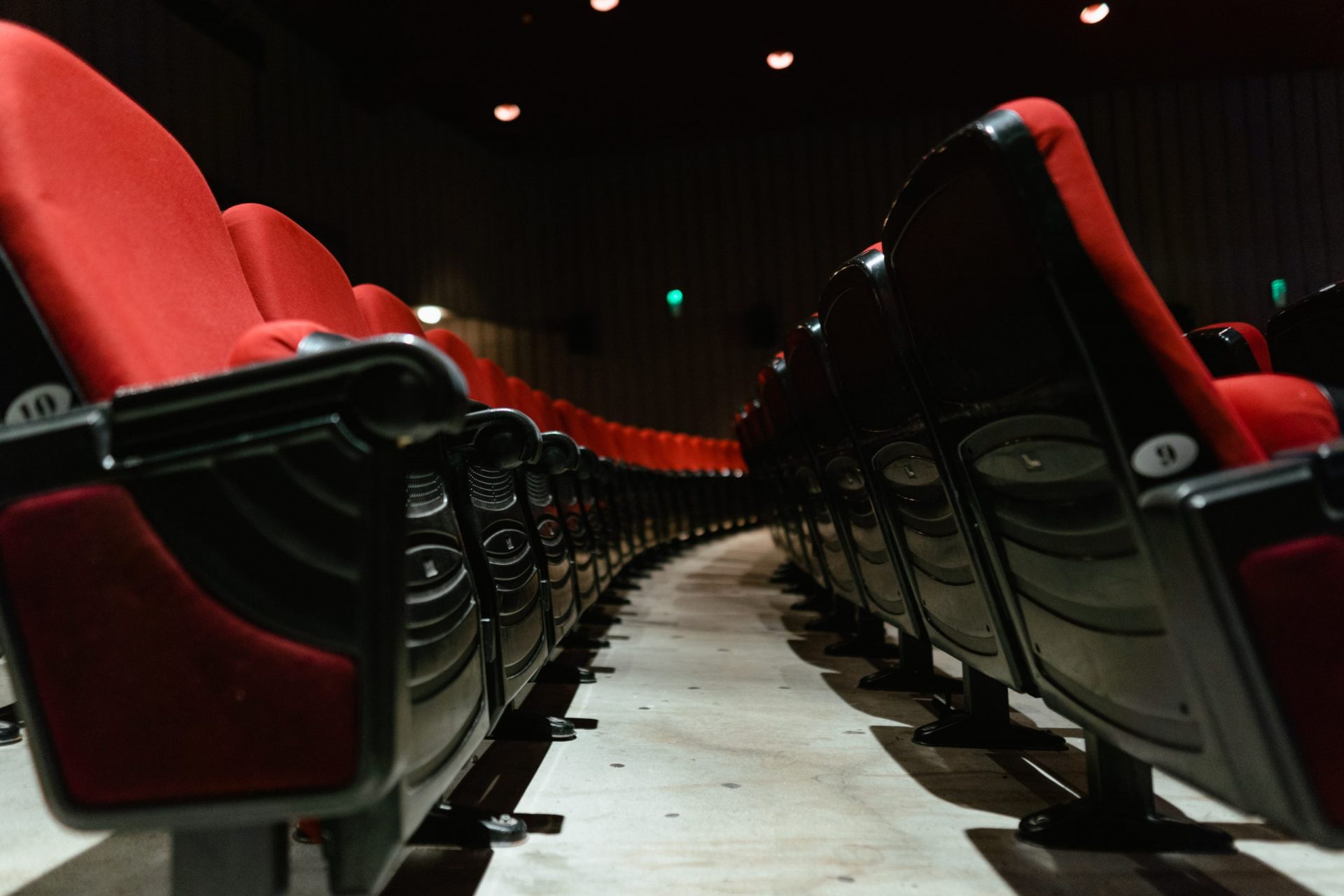 Être jury du festival de Cannes, ça se passe comment ? Témoignage 