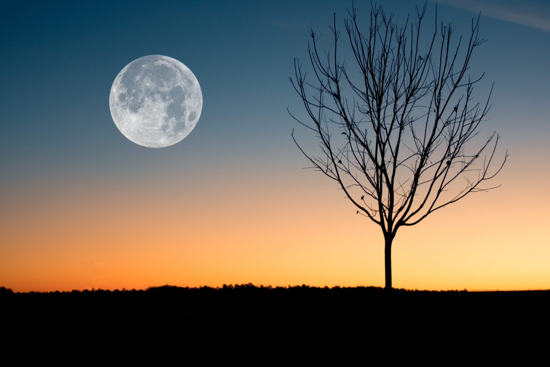 La lune blanche de Verlaine : analyse et résumé 