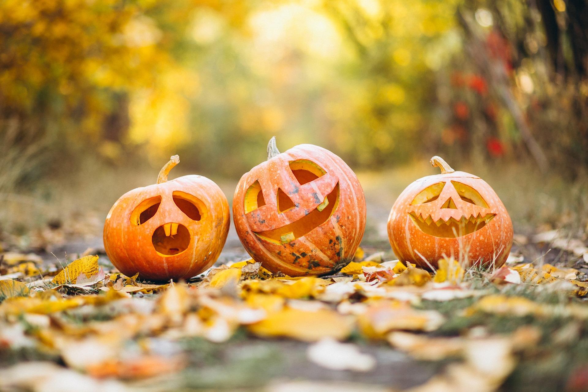 La véritable histoire d'Halloween
