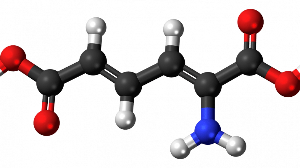 métabolisme