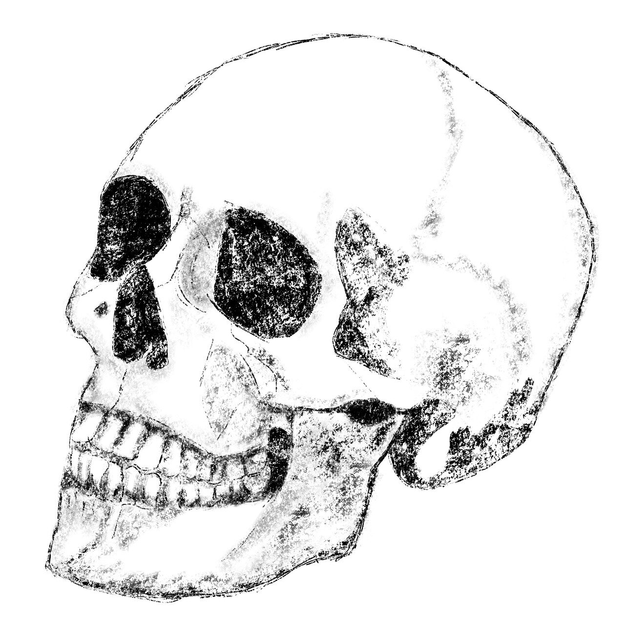 portfolio art