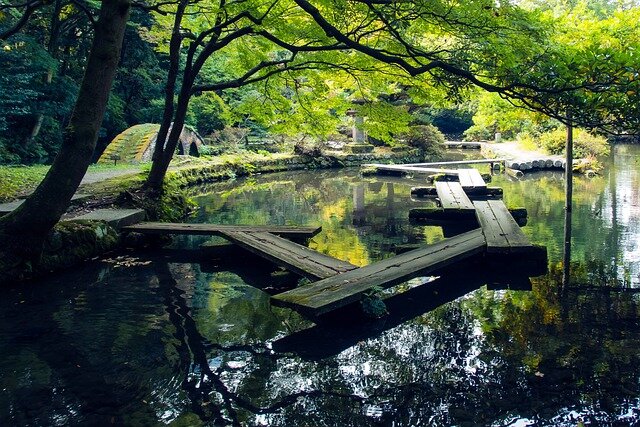 le japon
