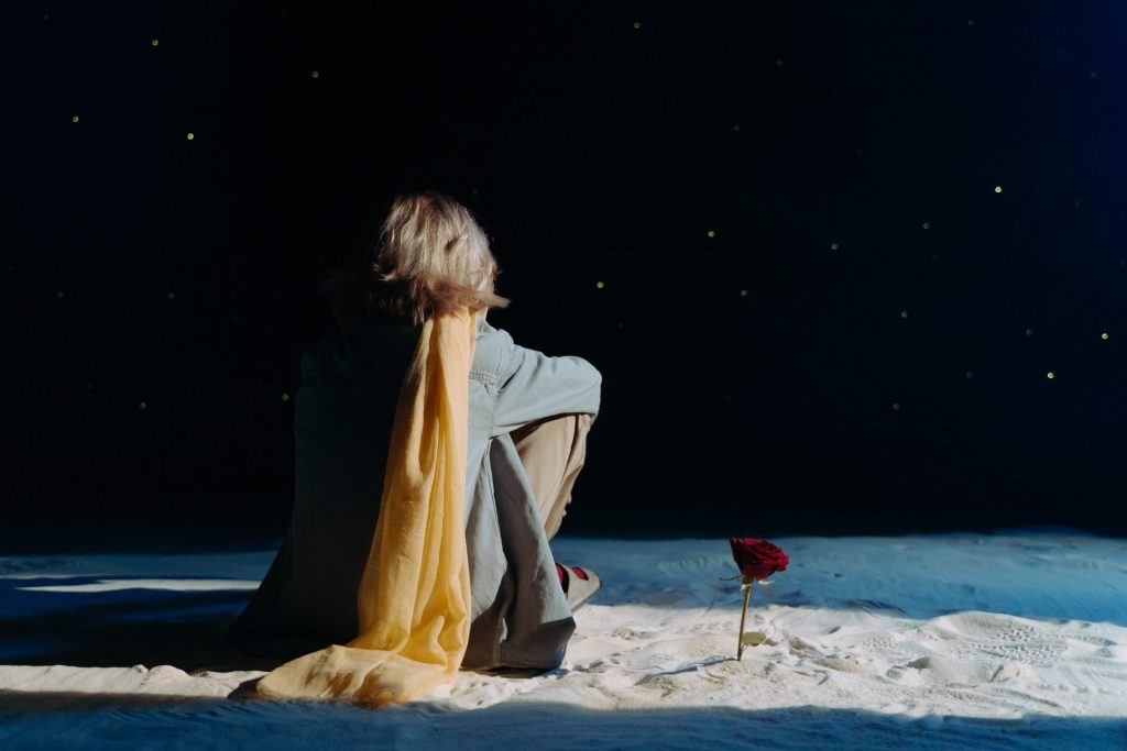 Le Petit Prince.