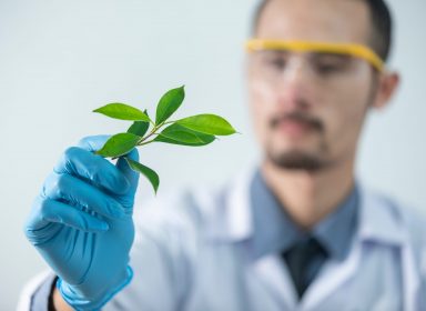 Botaniste : un métier en herbe ! 