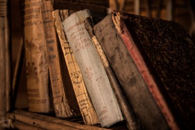 Au-delà des mots : la poésie évocatrice de Francis Ponge 