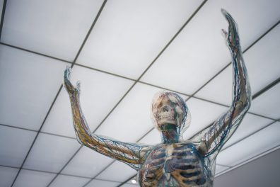Anatomie et parties du corps humain en anglais [Vocabulaire] 