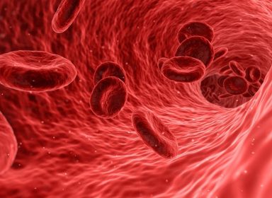 Tout savoir sur le système immunitaire humain 