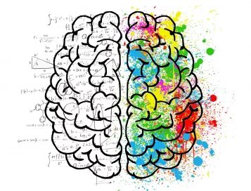 Les archétypes de personnalité selon Carl Jung 