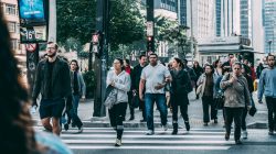 La mobilité sociale : comment gravir les échelons ? 🪜