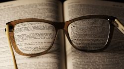 Le droit constitutionnel : les notions de base 