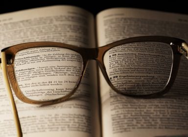 Le droit constitutionnel : les notions de base 