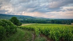 La véritable histoire des départements français 