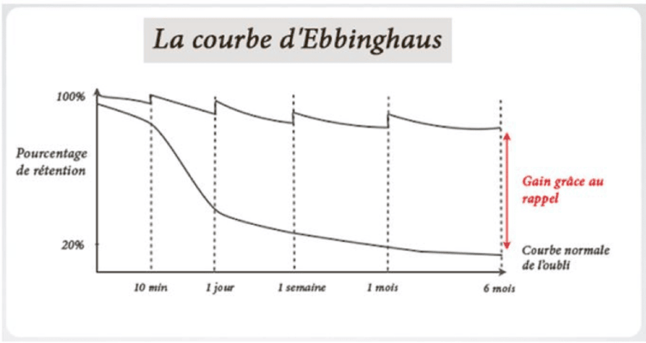 La Courbe D’Howald – Schéma De Howald – EGEX