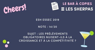 Copie ESH ESSEC 2019 notée 14/20 