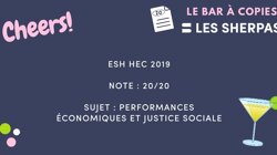 Copie ESH HEC 2019 notée 20/20 💥