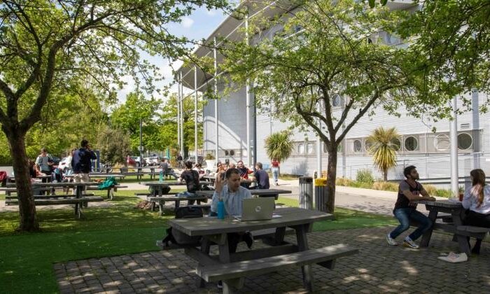 Bachelor in management rennes school of business