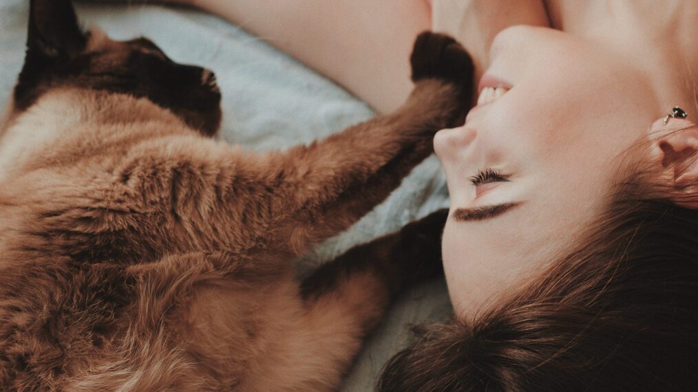 adopter un animal
