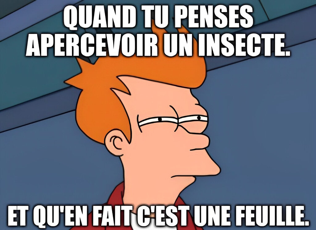 Fry de Futurama regarde l'horizon, suspicieux.