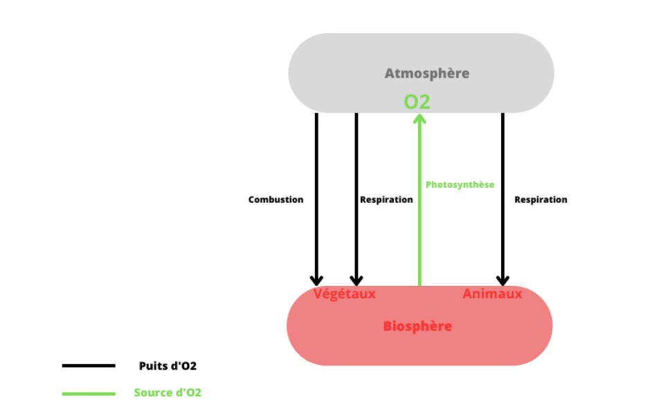 schéma des échanges dans l'atmosphère 