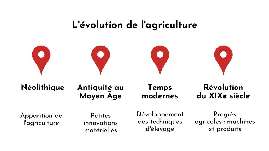 Un schéma présentant les 4 phases de l'évolution de l'agriculture.