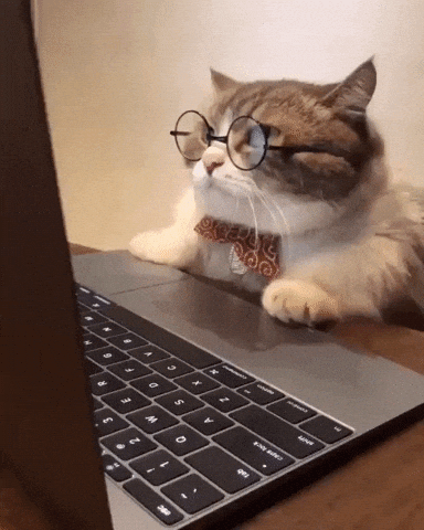 quand tu te renseignes sur toutes les possibilités de réorientation