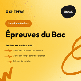 Guide Épreuves du Bac 📚