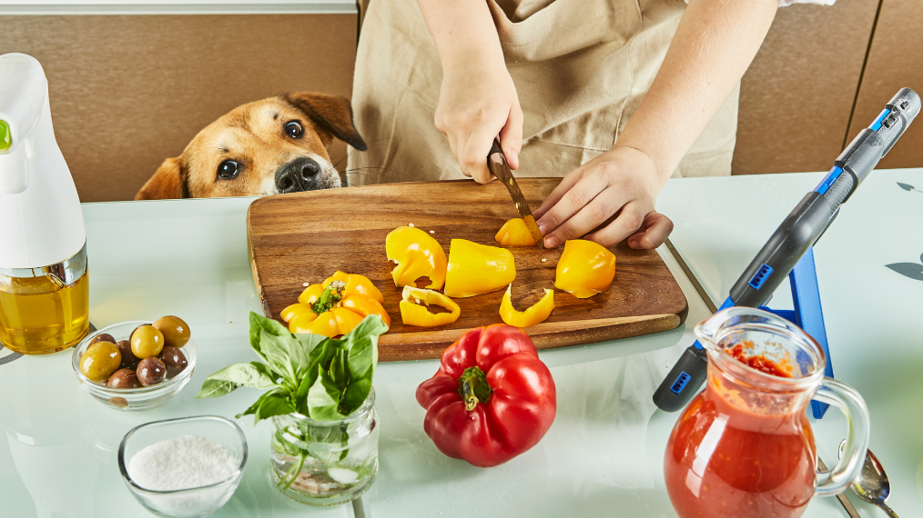 recettes étudiantes pas chères