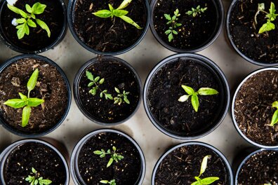 8 formations green pour un monde meilleur 