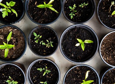 8 formations green pour un monde meilleur 