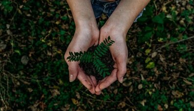 Pourquoi et comment devenir éco-délégué ? ️