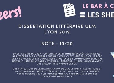 Corrigé de Dissertation Littéraire ULM – Lyon 2019 noté 19/20 