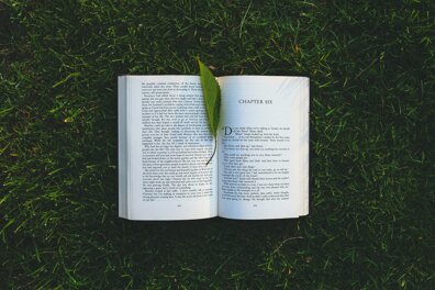 La fiche de lecture Barbe Bleue de Charles Perrault 