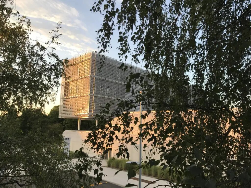 Institut Mines Télécom Business School