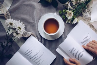 Le vocabulaire de la poésie : un dictionnaire des essentiels 