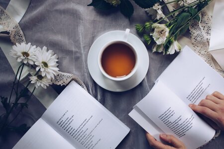Vocabulaire de la poésie : dictionnaire des essentiels