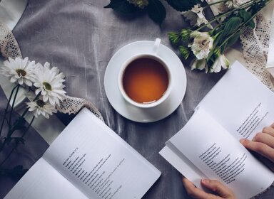 Le vocabulaire de la poésie : un dictionnaire des essentiels 
